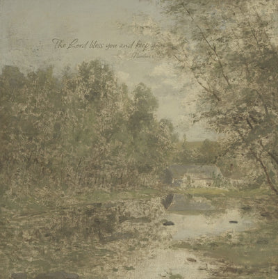 Woodland Brook video