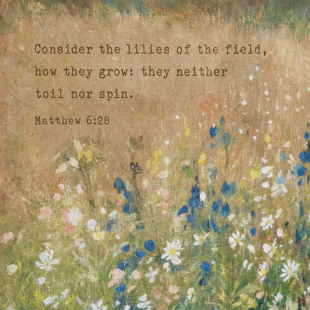 Consider the Lilies Meadow video