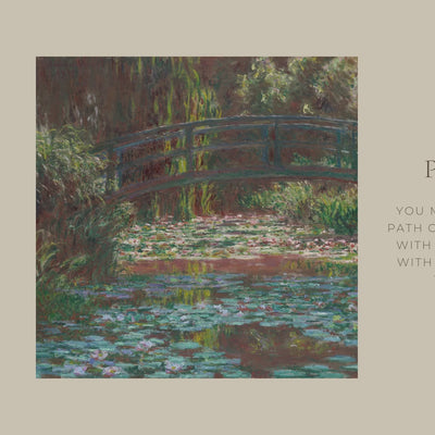 Lily Pond video