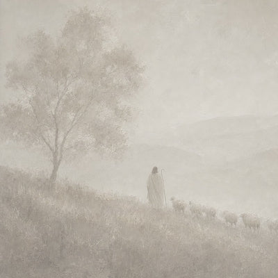 Good Shepherd Neutral Beige video