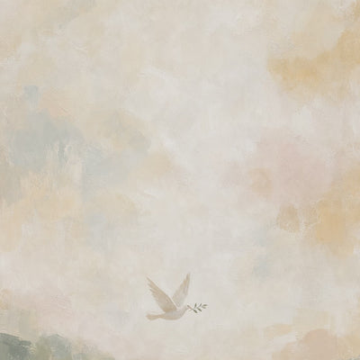 Dove Over the Meadow video