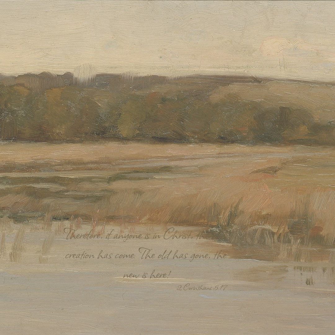 Wetland and Distant Hills video