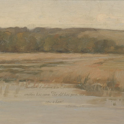Wetland and Distant Hills video