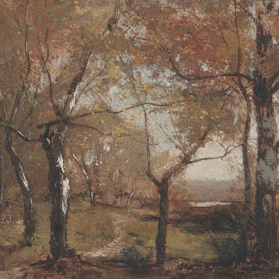 Autumn Pond and Trees video
