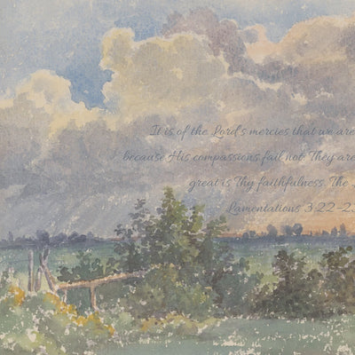 Summer Sky Landscape video