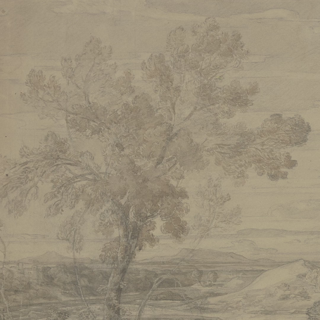 Lone Tree Landscape Sketch video