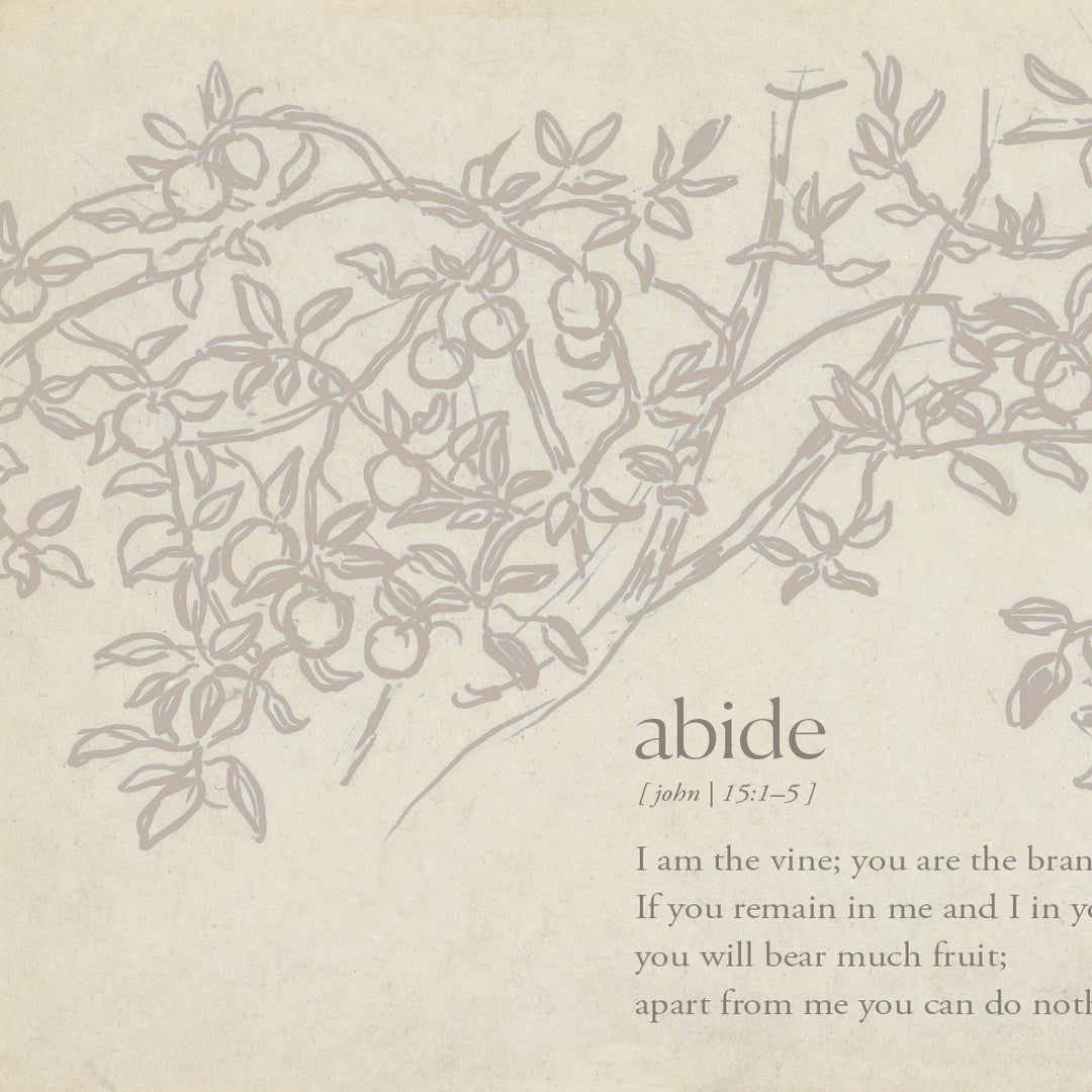 Grey Abide video