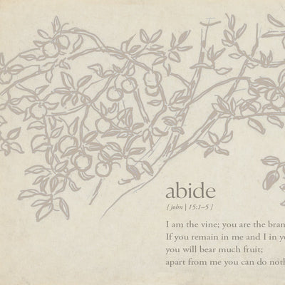 Grey Abide video