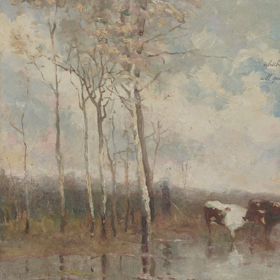 Cows in Water by the Birches video