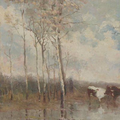 Cows in Water by the Birches video