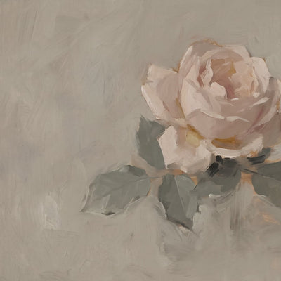 One Blush Rose video
