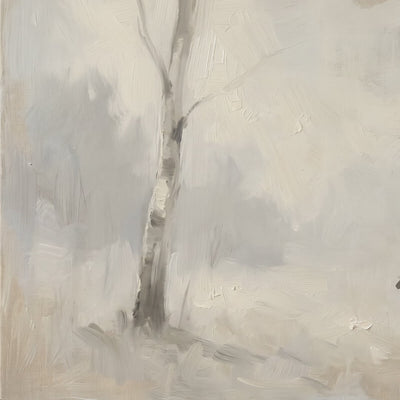 Birch and Sheep video