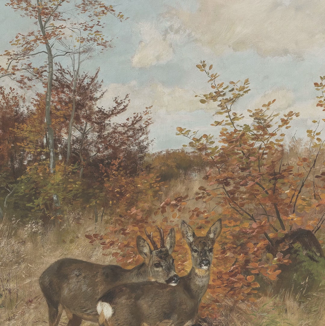 Deer in Autumn Thicket video