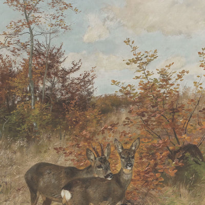 Deer in Autumn Thicket video