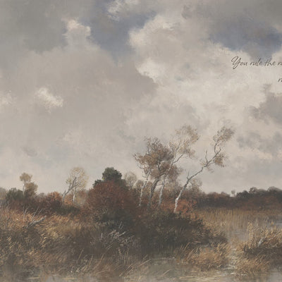 Clouds Above the Wetlands video
