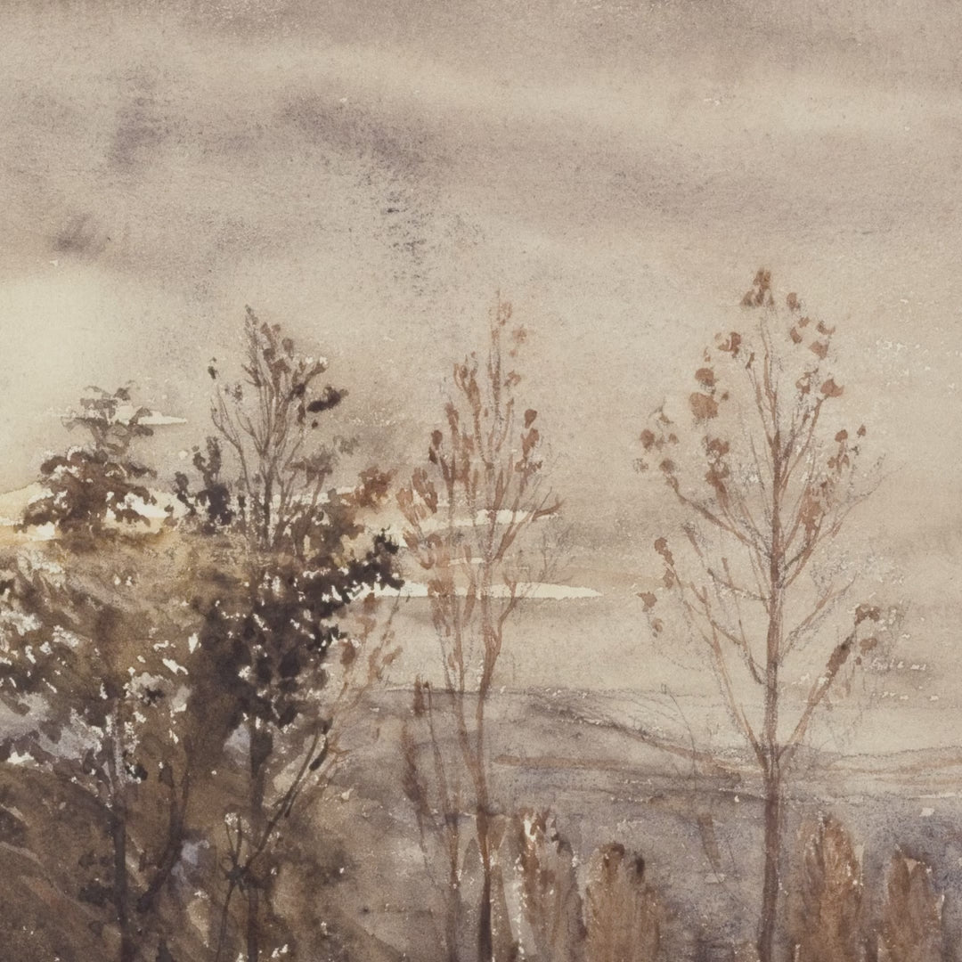 Autumn Trees at Dusk video