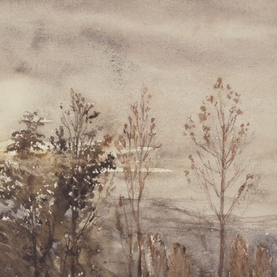 Autumn Trees at Dusk video