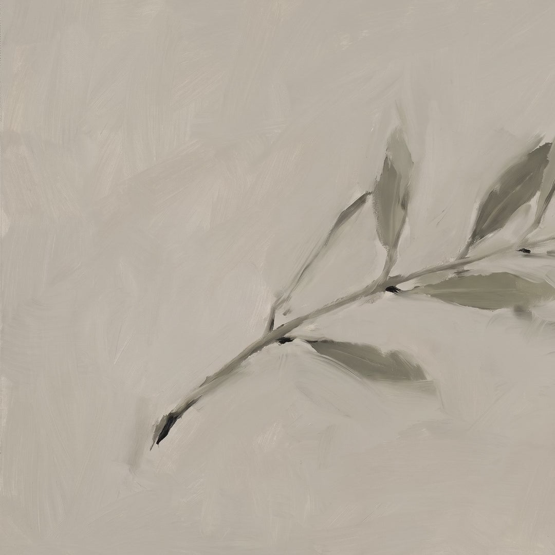 Single Branch video