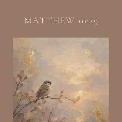 Not One Sparrow — Matthew 10:29 video