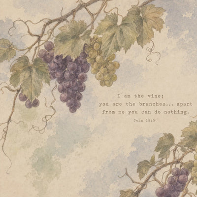 Grape Vine — John 15:5 video