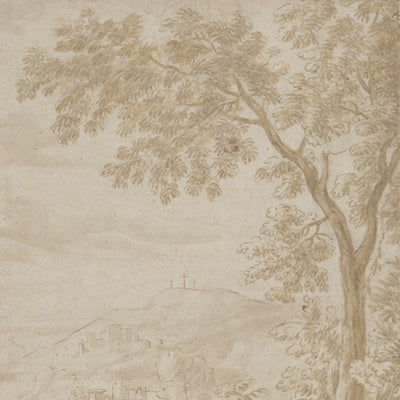 Sepia Tree Sketch Landscape video