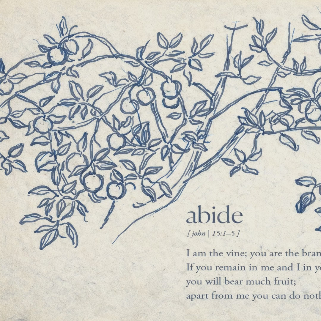 Blue Abide video
