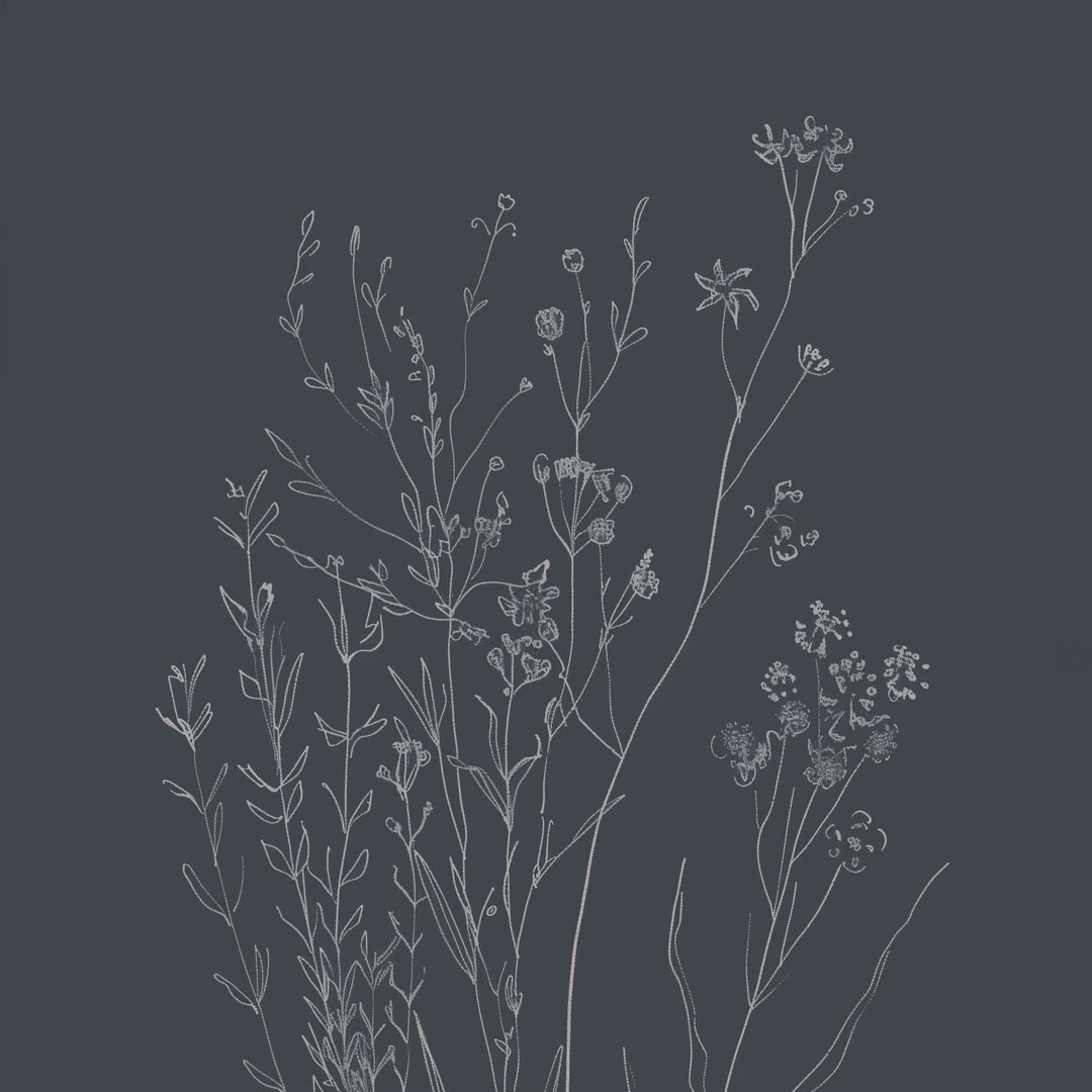 Consider the Flowers — Charcoal Botanical video