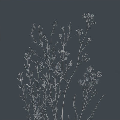 Consider the Flowers — Charcoal Botanical video