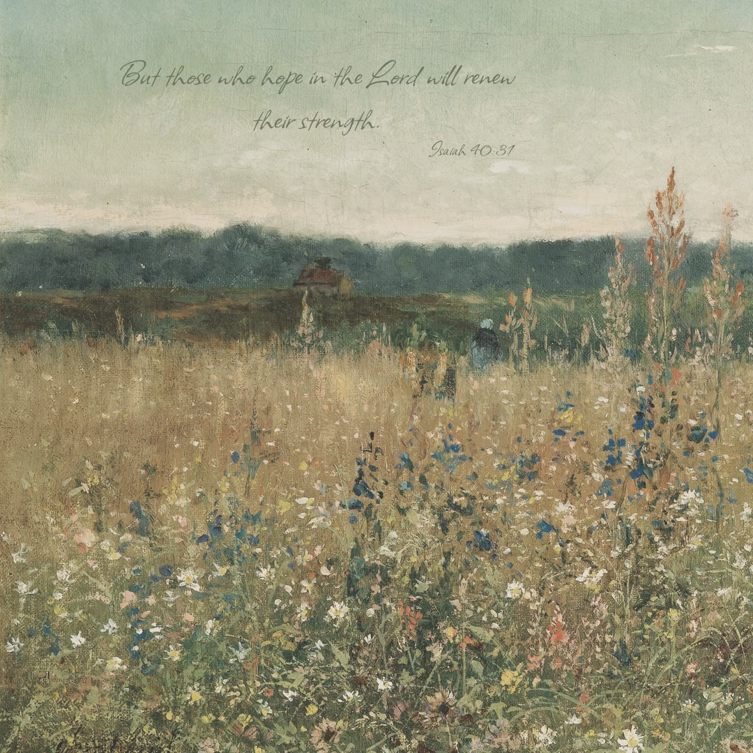Soft Wildflower Meadow video
