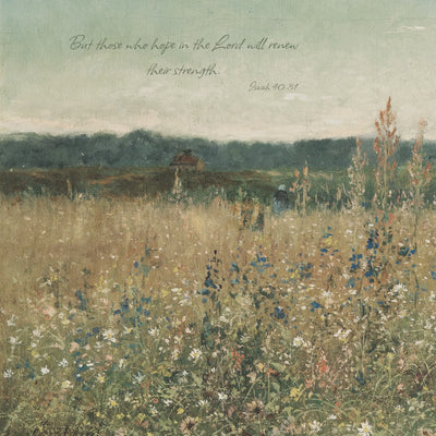 Soft Wildflower Meadow video